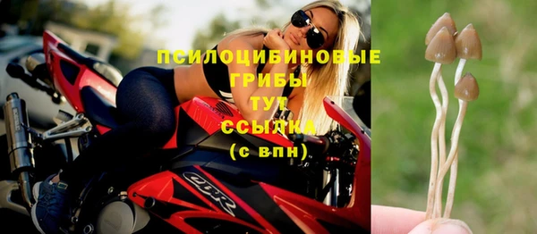 мет Абаза
