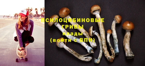 мет Абаза