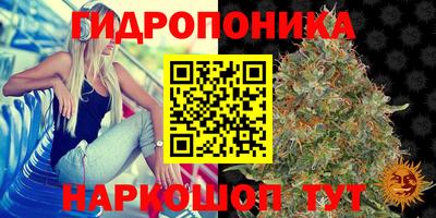 амф Железногорск