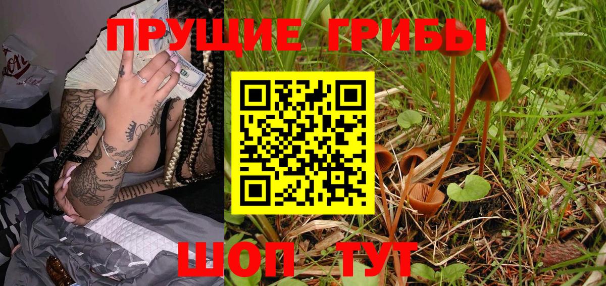 Псилоцибиновые грибы мицелий  Вход с VPN  Псилоцибиновые грибы MAGIC MUSHROOMS  Карталы 